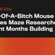 Illustration for article titled Son-Of-A-Bitch Mouse Solves Maze Researchers Spent Months Building